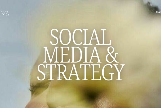 be your social media marketing manager and content creator
